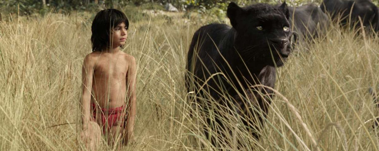 le livre de la jungle photo film pinsaguel plein air