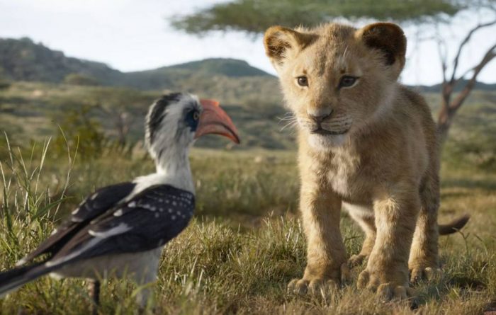 image fond le roi lion image film le roi lion pinsaguel cinéma plein air