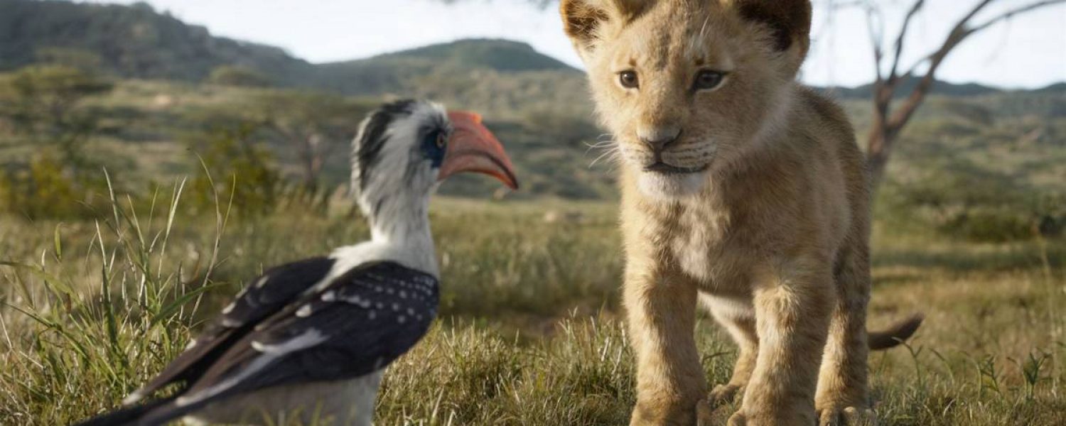 image film le roi lion pinsaguel cinéma plein air